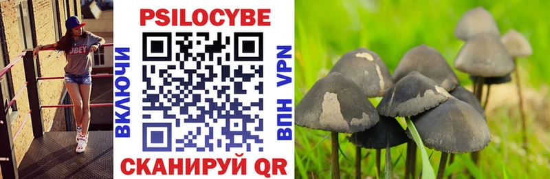 Псилоцибиновые грибы Cubensis  Среднеколымск 